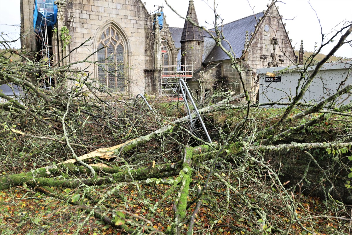 Tempête Ciaran : apocalypse à Saint-Herbot !